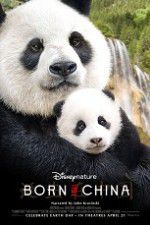 Watch Born in China Letmewatchthis