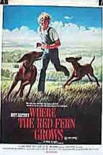 Watch Where the Red Fern Grows Letmewatchthis
