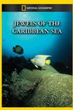 Watch National Geographic Jewels of the Caribbean Sea Letmewatchthis