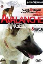 Watch Avalanche Angels Letmewatchthis