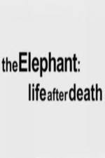 Watch The Elephant - Life After Death Letmewatchthis