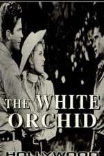 Watch The White Orchid Letmewatchthis