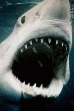 Watch Sharkmania: The Top 15 Biggest Baddest Bloodiest Bites Letmewatchthis
