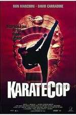 Watch Karate Cop Letmewatchthis