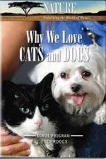 Watch Why We Love Cats And Dogs Letmewatchthis