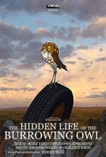 Watch The Hidden Life of the Burrowing Owl (Short 2008) Letmewatchthis