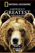 Watch America's Greatest Animals Letmewatchthis