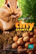 Watch Tiny Giants 3D Letmewatchthis