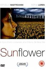 Watch Sunflower Letmewatchthis