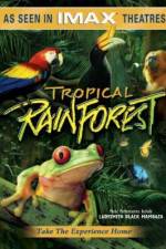 Watch Tropical Rainforest Letmewatchthis