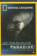 Watch National Geographic - Surviving Paradise - Hawaiian Monk Seals Letmewatchthis