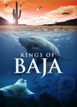 Watch Kings of Baja Letmewatchthis