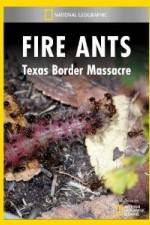 Watch National Geographic Fire Ants: Texas Border Massacre Letmewatchthis