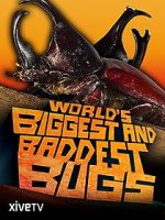 Watch World\'s Biggest and Baddest Bugs Letmewatchthis