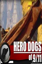 Watch Hero Dogs of 911 Documentary Special Letmewatchthis