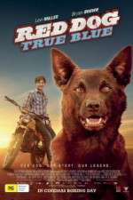 Watch Red Dog True Blue Letmewatchthis