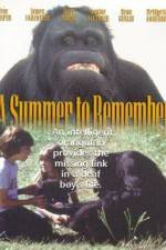 Watch A Summer to Remember Letmewatchthis