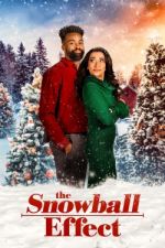 Watch The Snowball Effect Letmewatchthis