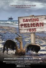 Watch Saving Pelican 895 (Short 2011) Letmewatchthis