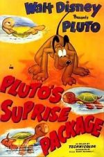 Watch Pluto\'s Surprise Package Letmewatchthis