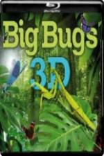 Watch Big Bugs in 3D Letmewatchthis
