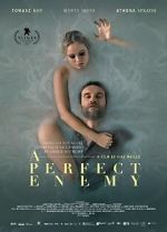 Watch A Perfect Enemy Letmewatchthis