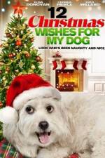 Watch 12 Christmas Wishes For My Dog Letmewatchthis