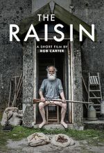 Watch The Raisin (Short 2017) Letmewatchthis