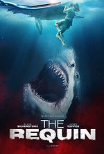 Watch The Requin Letmewatchthis