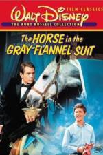 Watch The Horse in the Gray Flannel Suit Letmewatchthis