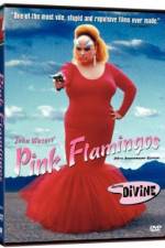 Watch Pink Flamingos Letmewatchthis