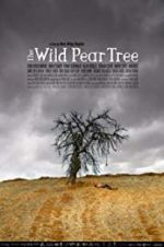 Watch The Wild Pear Tree Letmewatchthis