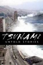 Watch Tsunami: Untold Stories Letmewatchthis