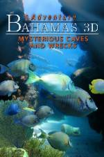 Watch Adventure Bahamas 3D - Mysterious Caves And Wrecks Letmewatchthis