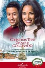 Watch A Christmas Tree Grows in Colorado Letmewatchthis