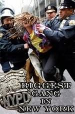 Watch NYPD: Biggest Gang in New York? Letmewatchthis