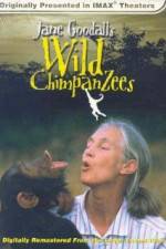 Watch Jane Goodall's Wild Chimpanzees Letmewatchthis
