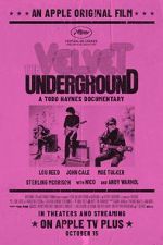 Watch The Velvet Underground Letmewatchthis