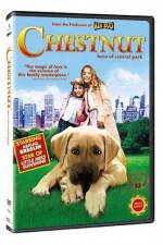 Watch Chestnut - Hero of Central Park Letmewatchthis