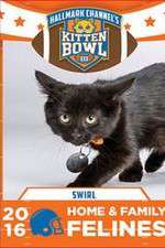 Watch Kitten Bowl III Letmewatchthis
