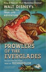 Watch Prowlers of the Everglades (Short 1953) Letmewatchthis