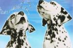 Watch 101 Dalmatians Sing Along Letmewatchthis