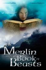 Watch Merlin and the Book of Beasts Letmewatchthis