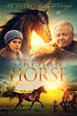 Watch Orphan Horse Letmewatchthis