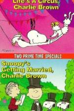 Watch Snoopy's Getting Married Charlie Brown Letmewatchthis