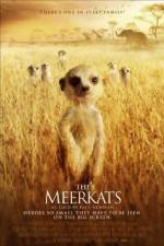 Watch The Meerkats Letmewatchthis
