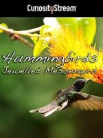 Watch Hummingbirds Jewelled Messengers Letmewatchthis