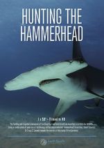 Watch Hunting the Hammerhead Letmewatchthis