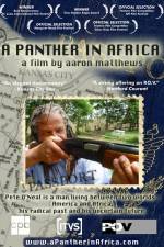 Watch A Panther in Africa Letmewatchthis