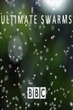 Watch Ultimate Swarms Letmewatchthis